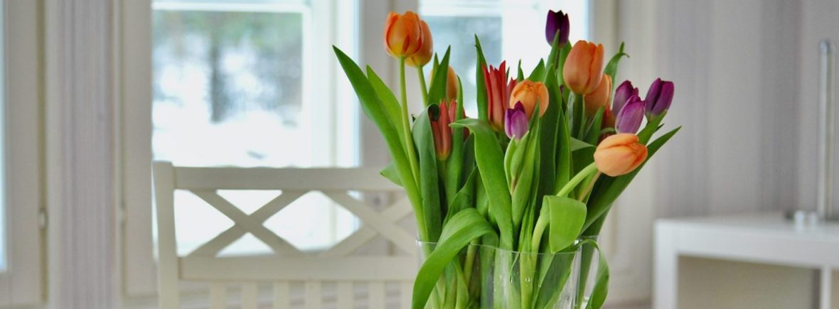 Nuoriskokoti Villa Dorothean kesä / Kuvaaja Pietu Takala